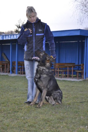 1491582_709125002434088_1229372721_n